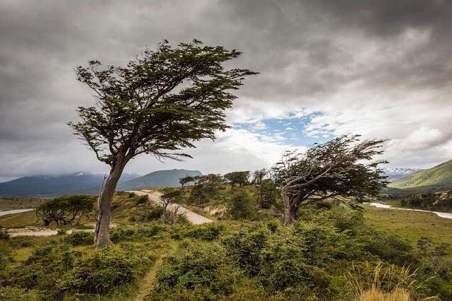 003 Argentinie, Tierra del Fuego.jpg